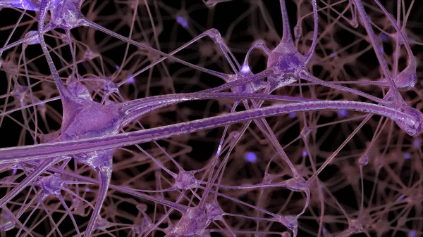 Neural Network Background